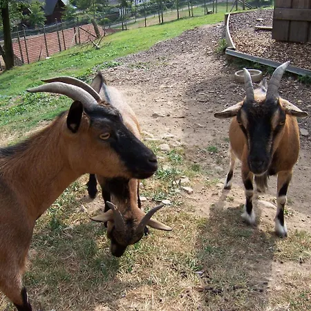Schnurrenhof * Seebach