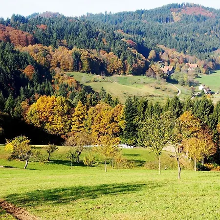 Schnurrenhof * Seebach