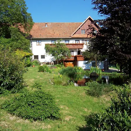 Schnurrenhof * Seebach