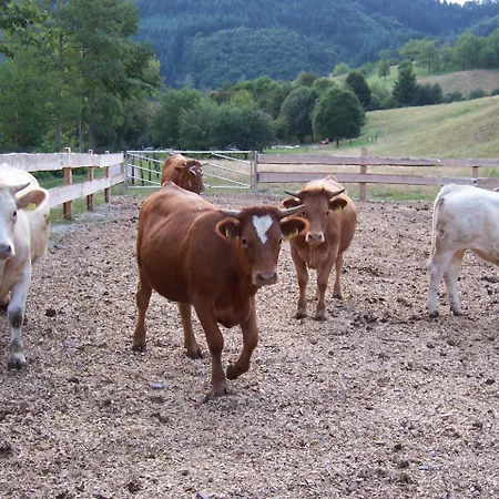 Apartamento Schnurrenhof Seebach