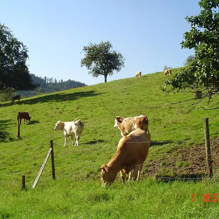Schnurrenhof Apartamento *