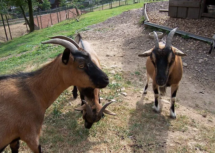 Schnurrenhof * Seebach