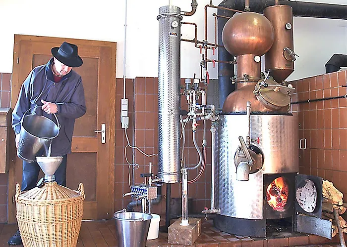 Schnurrenhof Seebach