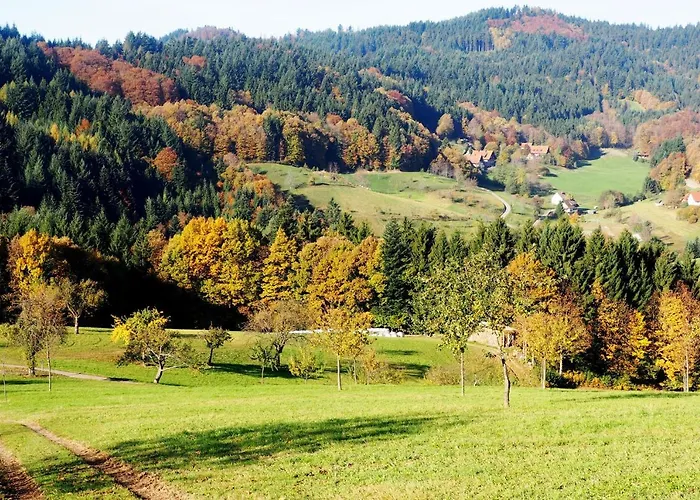 Schnurrenhof * Seebach