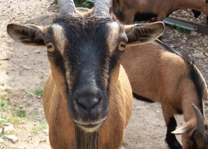 Διαμέρισμα Schnurrenhof *