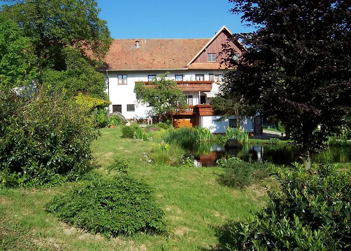 Schnurrenhof * Seebach