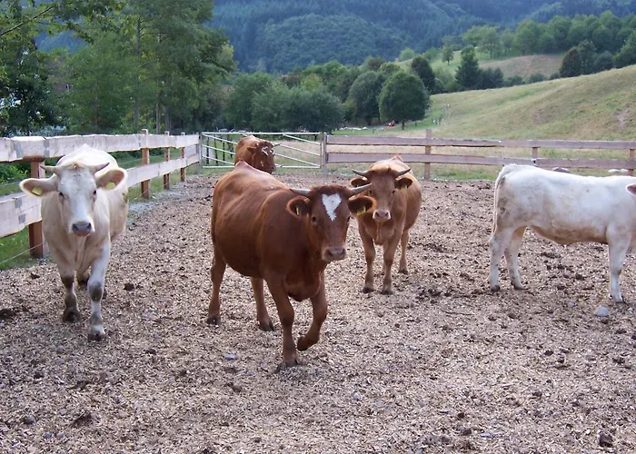 Apartamento Schnurrenhof Seebach