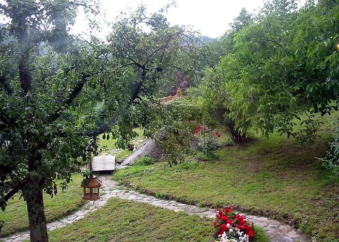 Schnurrenhof Seebach