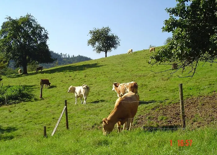 Schnurrenhof Apartamento *