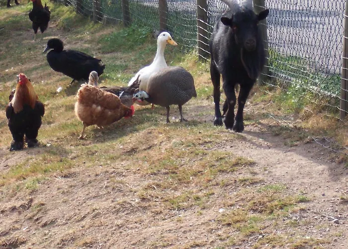 Schnurrenhof Apartamento Seebach